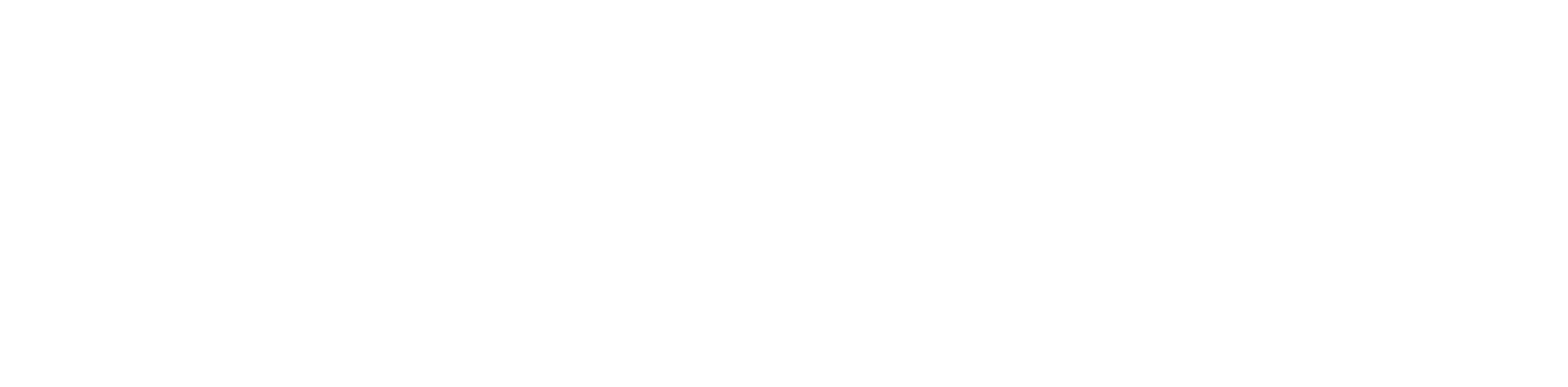nito hockey logo white
